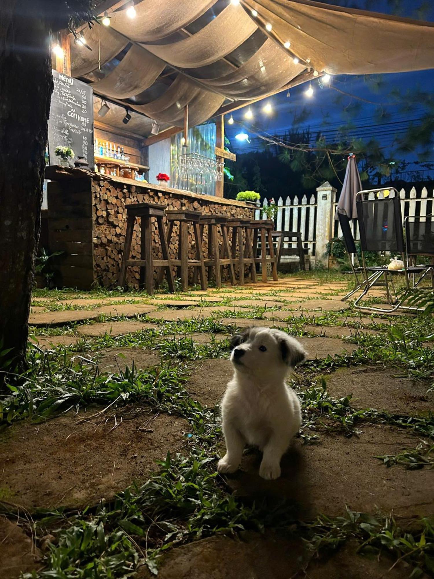 Chino Homestay Mang Den - Villa Tai Mang Den Kon Tum Dış mekan fotoğraf